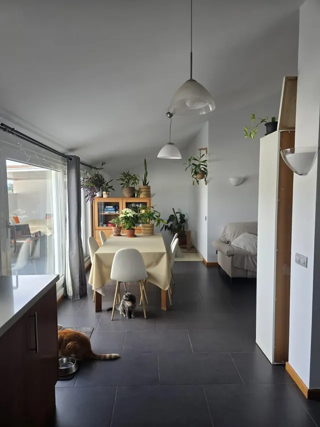 Amplio duplex con gran terraza con barbacoa — 6