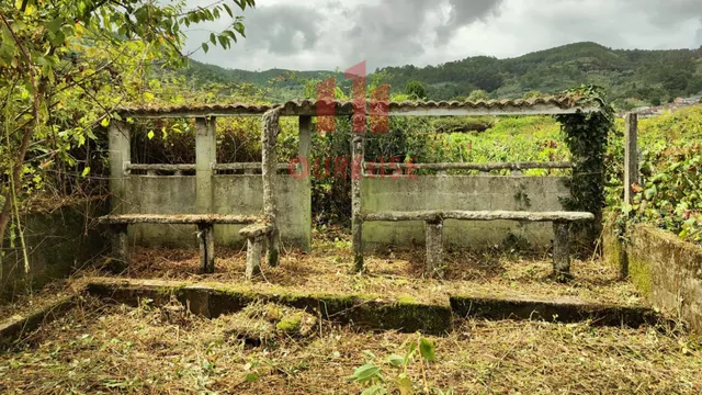 FINCA RUSTICA CON VISTAS AL RÍO MUY CERCA DE RIBADAVIA. — 7