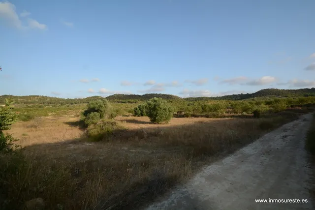 Terreno rústico de secano en la pedanía de Torremendo, Orihuela. 17.000 m2. de superficie. — 10