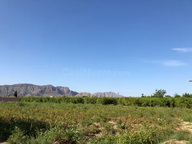ENCANTADORA CASA EN PLANTA BAJA CON TERRAZA, PATIOS, GARAJE, - foto 5