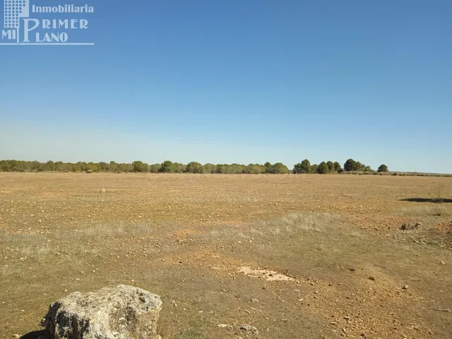 Se venden 11 hectareas de tierra de secano en el paraje La C - foto 4