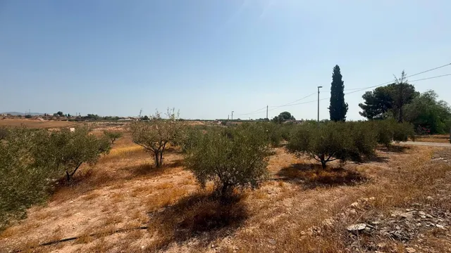 CASA DE CAMPO EN CORVERA CON 5.400 M2 DE PARCELA — 21