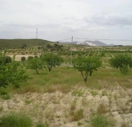 Parcela 171m² en venta - Abanilla - foto 5