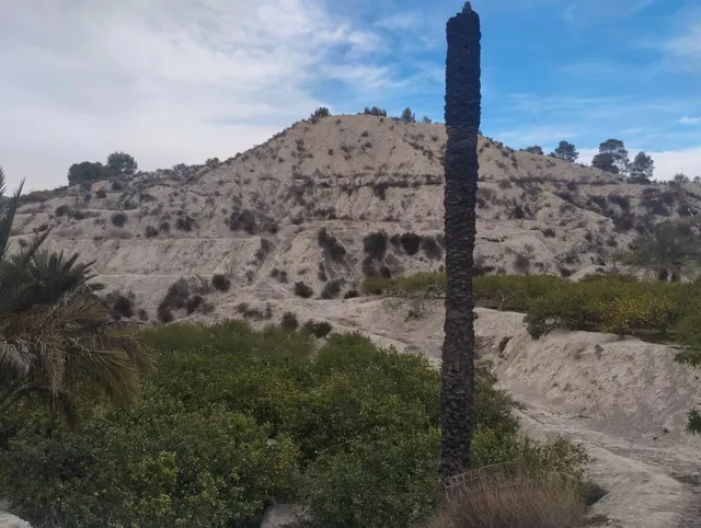 ¡Descubra una oportunidad única en el corazón del Valle de Ricote! — 10