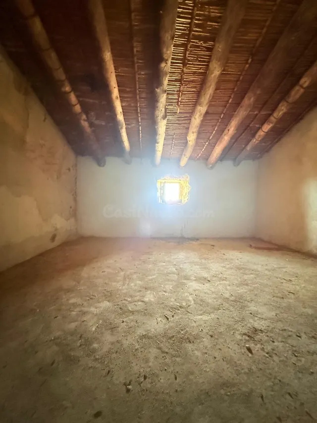 GRAN FINCA CON CASA PARA REFORMAR!!! — 3