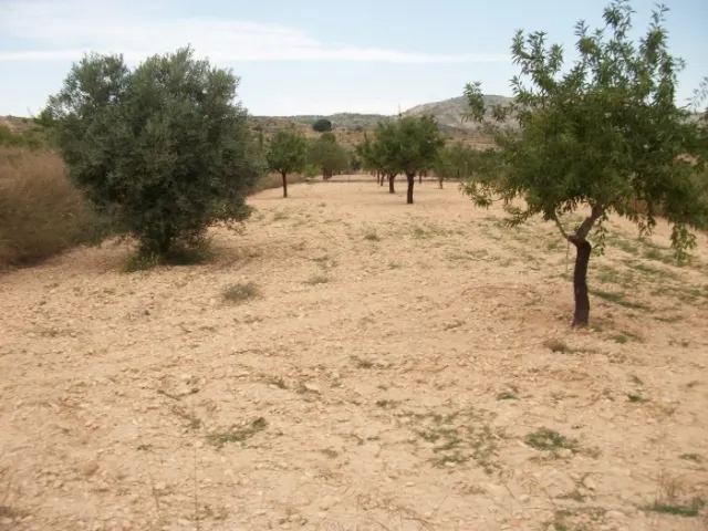 Parcela de 10.000 metros rural — 9