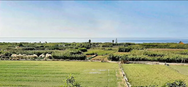 ESPLENDIDA CASA ANTIGUA, EN LA PLAYA DEBAJO DEL CASTILLO DE  - foto 4