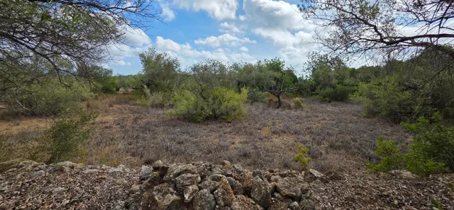 Finca rústica con olivos y buen acceso, entre El Perelló y l - foto 5