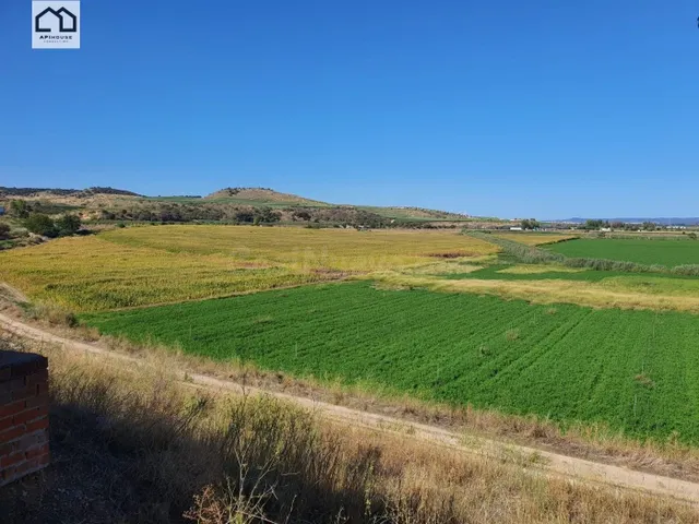 APIHOUSE VENDE FINCA DE REGADIO EN LA VEGA DEL RIO TAJO. PRE - foto 2
