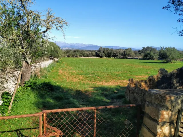 FINCA RÚSTICA PERFECTA PARA CONSTRUIR - foto 3