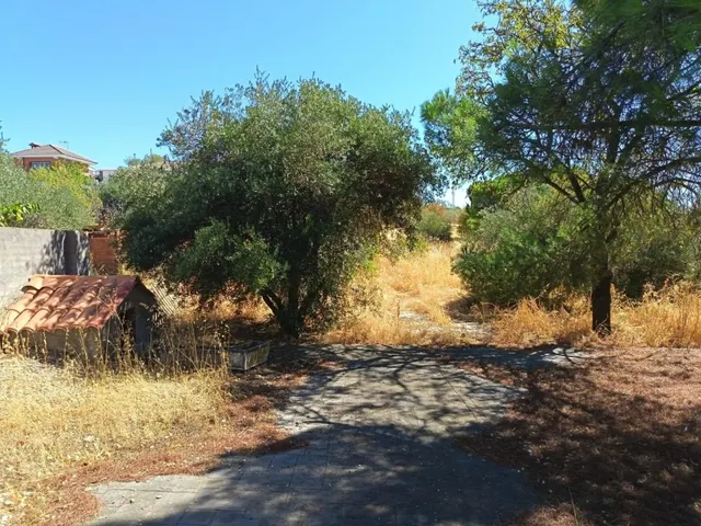 Oportunidad en Albarreal de Tajo – ¡Sin comisión al comprador! — 8