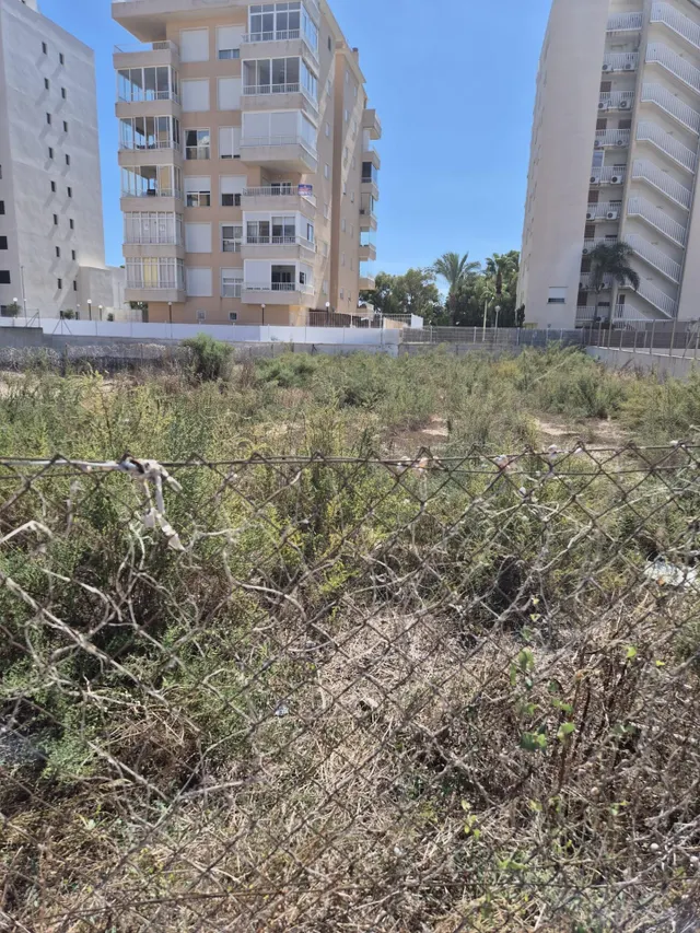 Terreno Urbano en Guardamar del Segura - Oportunidad de Inversión — 3