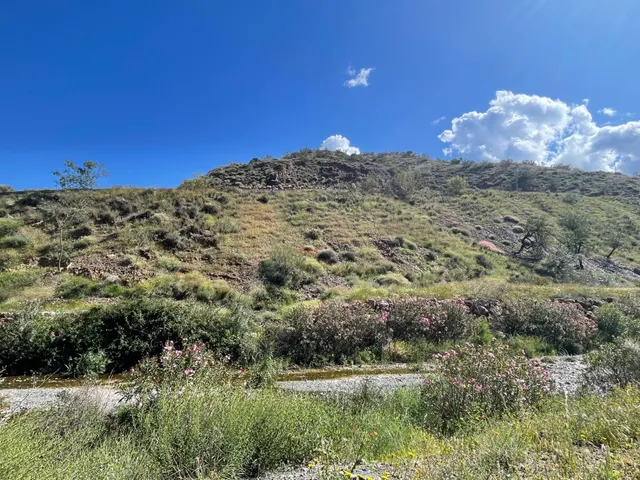 Se vende parcela rústica en los Montes de Málaga, junto a la carretera — 7