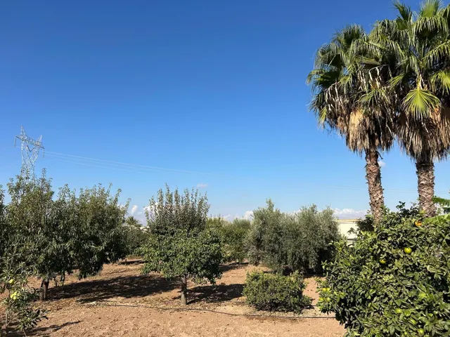 FINCA RUSTICA EN VENTA, LA PUEBLA — 13