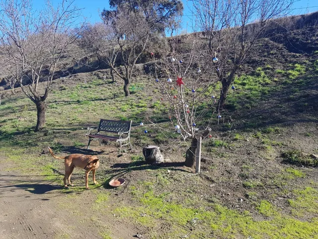 Parcela en venta - Andalucia — 9