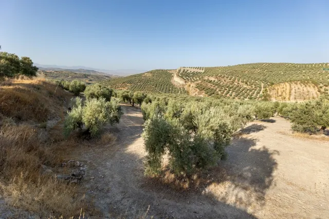 Terreno rural en venta - Alfacar — 2