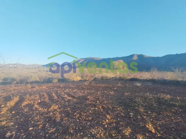 Casa de piedra con 61 hectáreas de terreno — 25