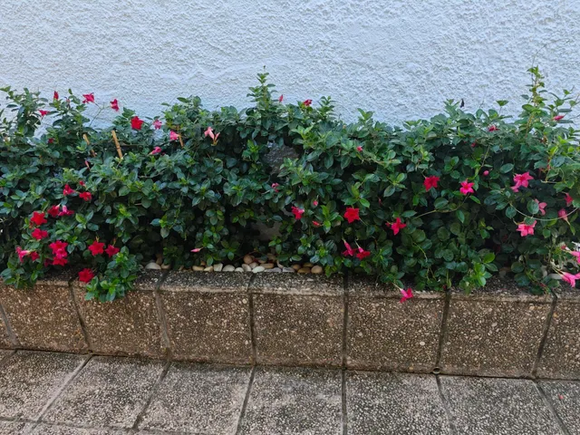 Magnifica villa situado en Fuengirola, en la zona Sohail. — 24