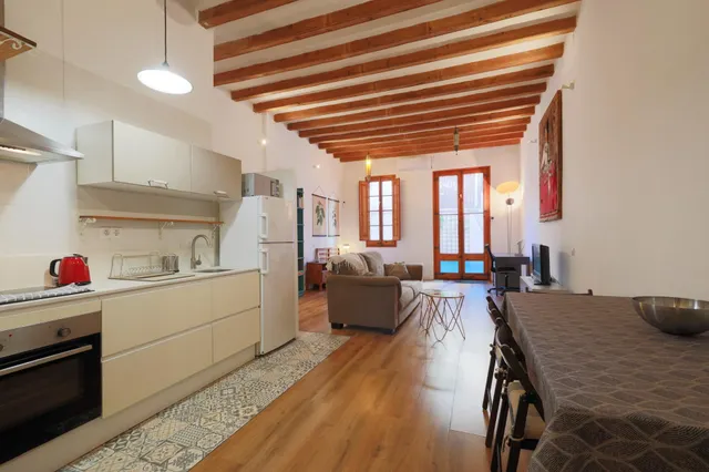 Fantastico loft con terraza Cerca del Palau de la Musica — 9