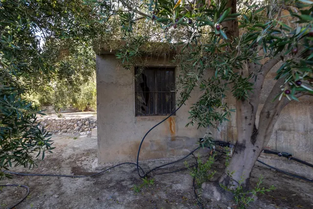 Finca rústica en venta en Pinos del Valle (Valle de Lecrín) — 33