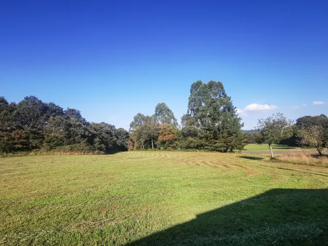 Casa de labranza con más de 6 hectáreas de terreno en Terra  - foto 5