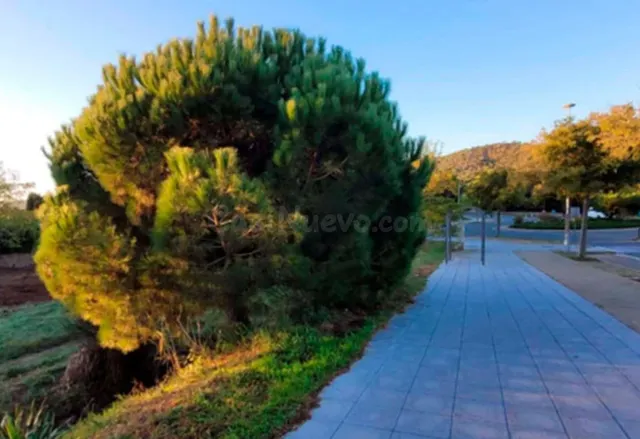 SOLAR URBANO EN CALLE GIRONA DE SANT FELIU DE GUÍXOLS, GIRON - foto 2