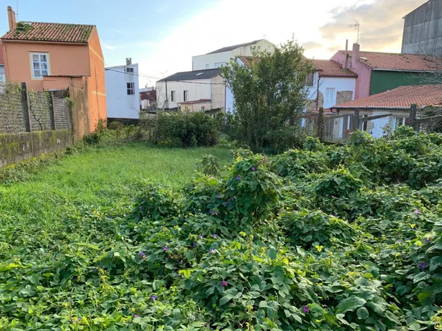 TERRENO URBANIZABLE EN CABO DE CRUZ — 13