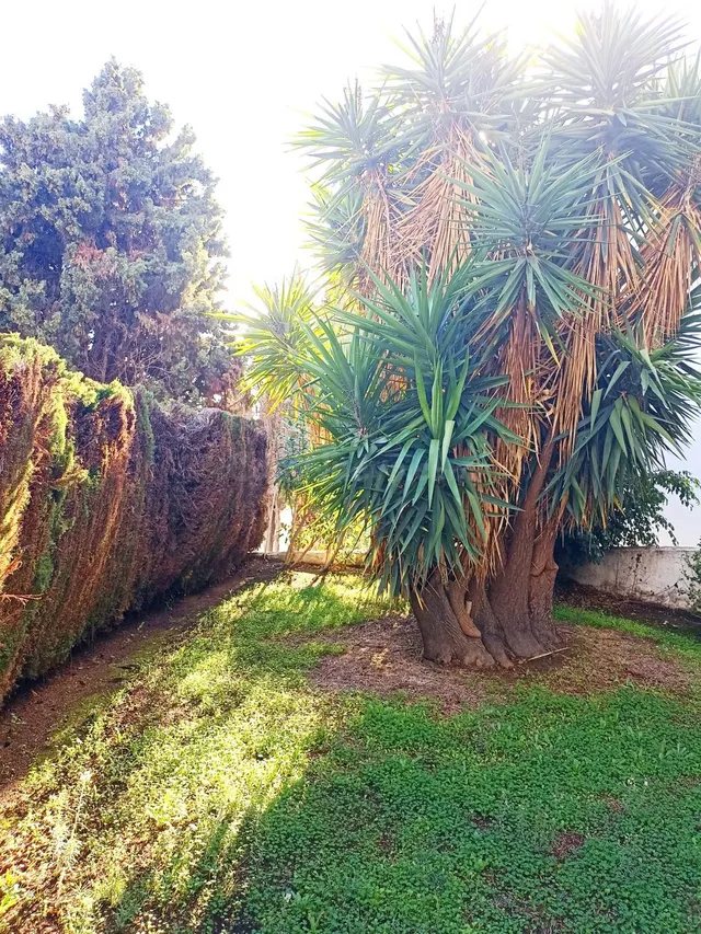 Apartamento 1 habitación 104m² en venta - Riviera del sol - foto 2