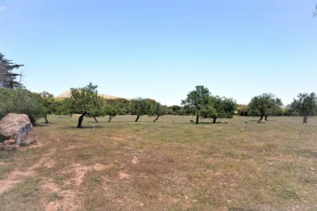 Parcela 200m² en venta - Artà - foto 2