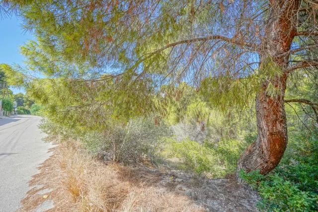 Parcela en venta - Benissa pueblo — 5