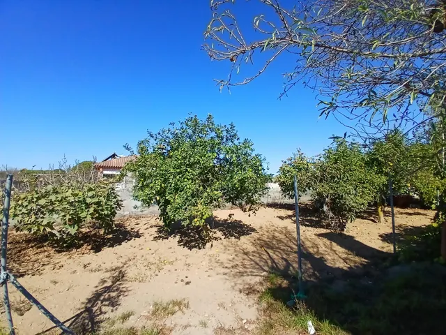 FINCA RÚSTICA EN CAMINIO DE TORREALTA — 38
