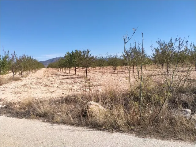 Villa de Obra Nueva Llave en Mano en Pinoso – Exclusividad, Espacio y Confort en Plena Naturaleza — 31