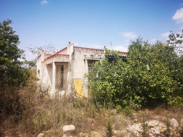 CASA EN FINCA DE NARANJOS CON POZO PROPIO - foto 5