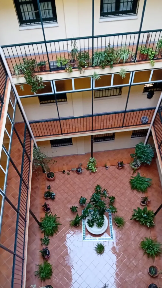 Centro San Vicente, calle Torneo, junto al Río. Excelente apartamento amueblado se alquila. Ascensor. — 30