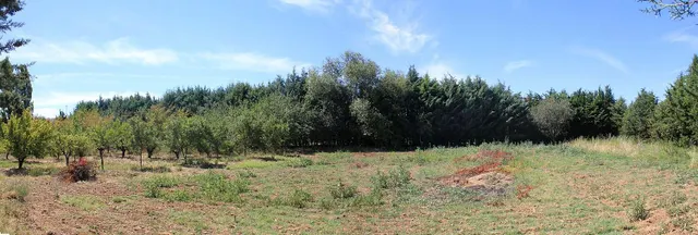 Parcela, con casa y nave — 14
