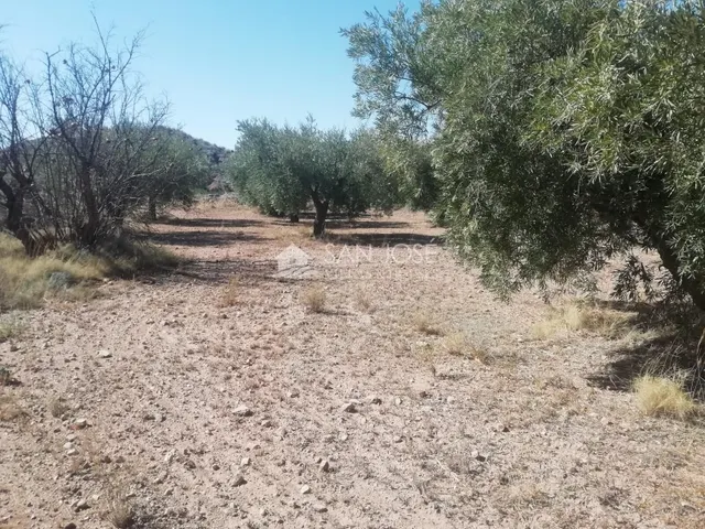 SE VENDE PARCELAMUY CERCA DEL PUEBLO DE MACISVENDA — 10