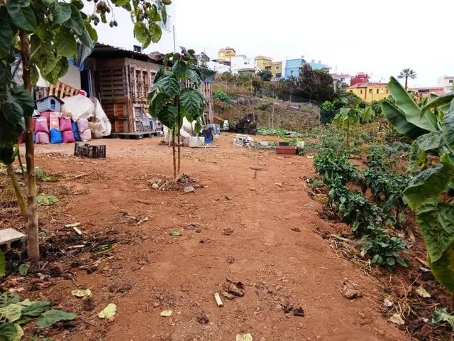 Terreno rural en La Corujera, Santa Úrsula — 18