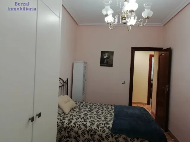 PISO AMPLIO EN LAS PEATONALES — 17