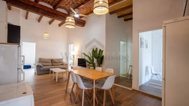 Excelente oportunidad de inversión en pleno corazón de Alica - foto 5