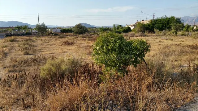 SE VENDE TERRENO EN ASPE, ALICANTE, ESPAÑA, SPAIN.