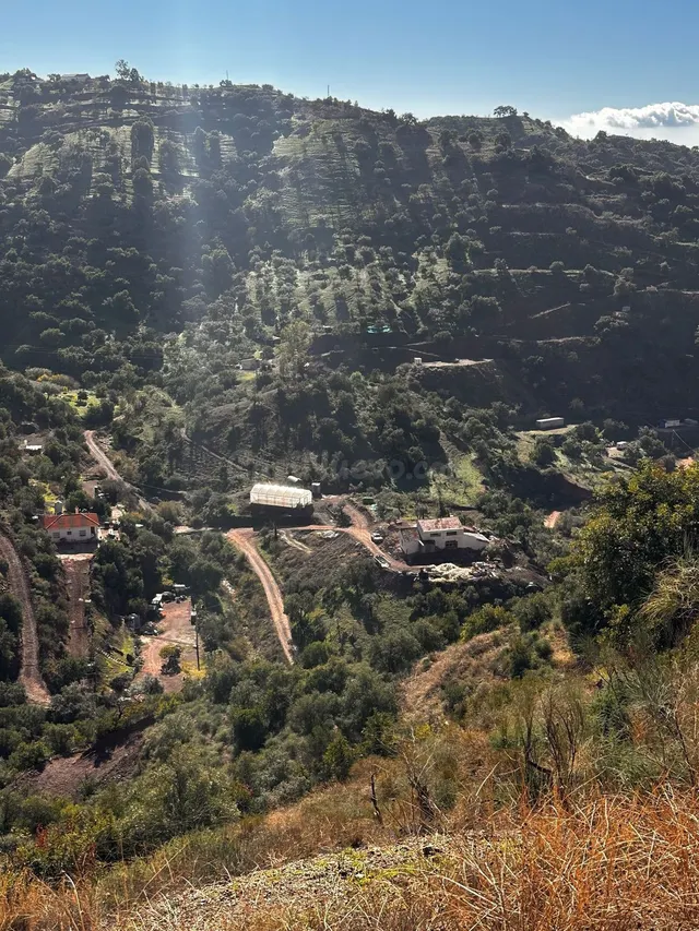 Parcela rural 5.000 m² en Fuengirola con vistas panorámicas y privacidad total — 2