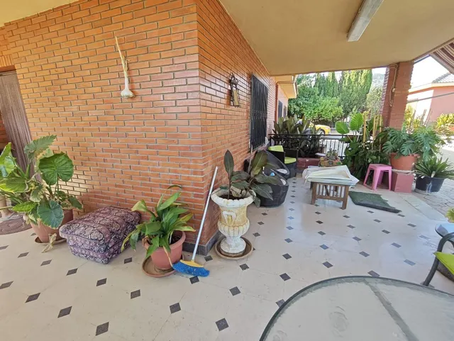 Campo en Sax 14.000 m2 parcela y casa con piscina — 28