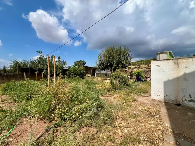 FINCA CON PISCINA, HUERTO, POZO Y VIVIENDA — 9