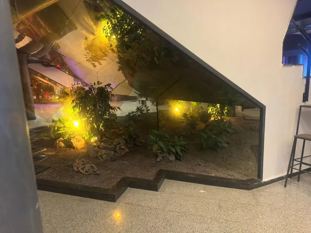 Oportunidad única de inversión en el centro de Elda — 18