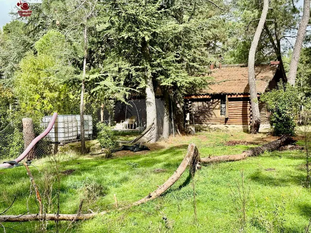 Terreno de 10.117m2 con vivienda de 75m2 rodeado de un precioso bosque — 12