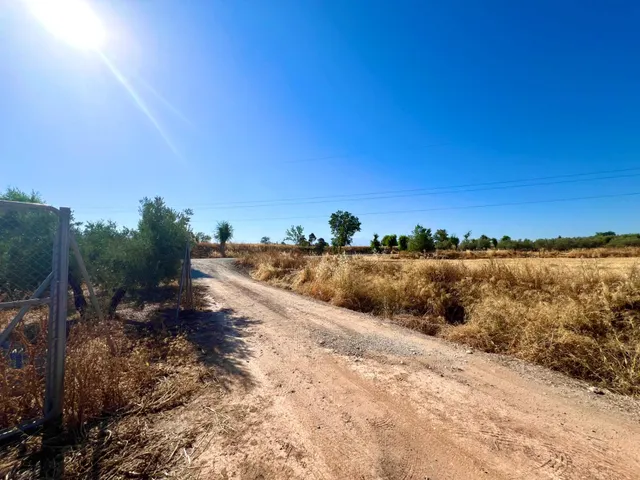 ALBOLOTE - PANTANO CUBILLAS — 38