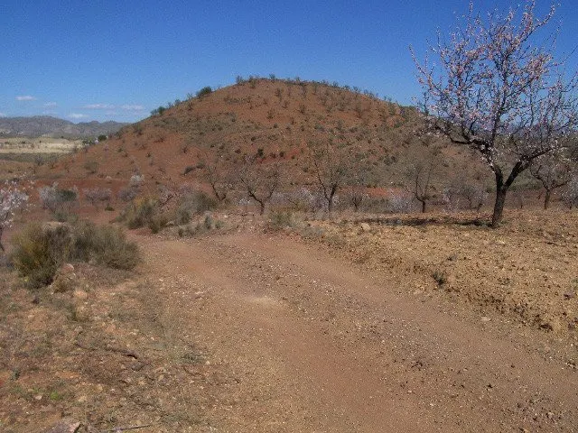 FINCA RÚSTICA EN ORTILLO - foto 2