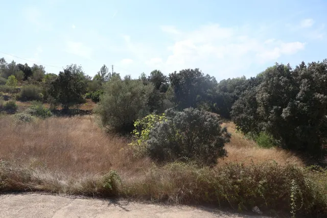 MASIA VALLADA CON PISCINA, ZONA PARA CABALLOS Y MAS DE 2 HECTAREAS DE TERRENO — 48