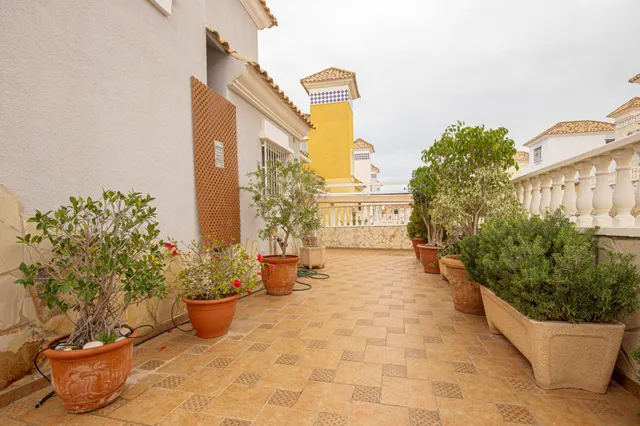 SE ALQUILA CHALET POR LARGO TIEMPO DE 3 DORMITORIOS Y 2 BAÑOS EN VILLA MARTIN (ORIHUELA COSTA) — 19