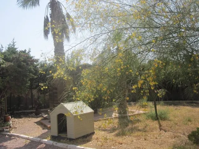 CHALET EN LAS SALINETAS CERCA DEL CLOT DE LA SAL — 4